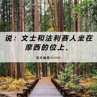 Picture 06 - 马 太 福 音 23:2 CUVS - 说 ： 文 士 和 法 利 赛 人 坐 在 摩 - Bible Verse Picture