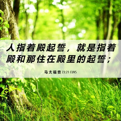 Picture 06 - 马 太 福 音 23:21 CUVS - 人 指 着 殿 起 誓 ， 就 是 指 着 殿 - Bible Verse Picture