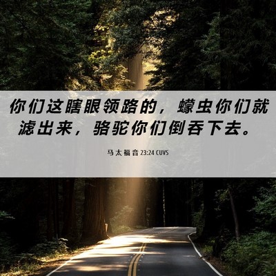 Picture 06 - 马 太 福 音 23:24 CUVS - 你 们 这 瞎 眼 领 路 的 ， 蠓 虫 你 - Bible Verse Picture