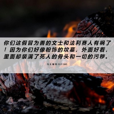 Picture 06 - 马 太 福 音 23:27 CUVS - 你 们 这 假 冒 为 善 的 文 士 和 法 - Bible Verse Picture