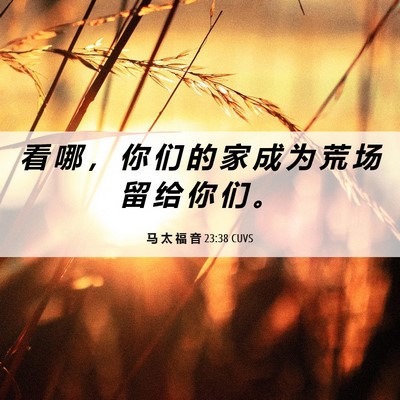 Picture 06 - 马 太 福 音 23:38 CUVS - 看 哪 ， 你 们 的 家 成 为 荒 场 留 - Bible Verse Picture