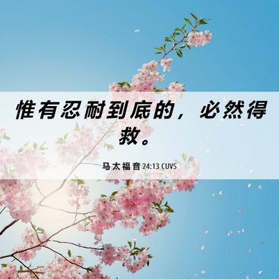 Picture 06 - 马 太 福 音 24:13 CUVS - 惟 有 忍 耐 到 底 的 ， 必 然 得 救 - Bible Verse Picture