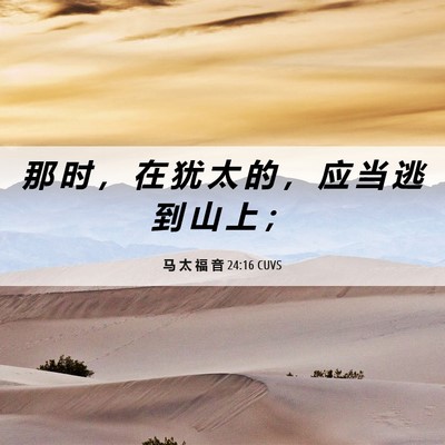Picture 06 - 马 太 福 音 24:16 CUVS - 那 时 ， 在 犹 太 的 ， 应 当 逃 到 - Bible Verse Picture
