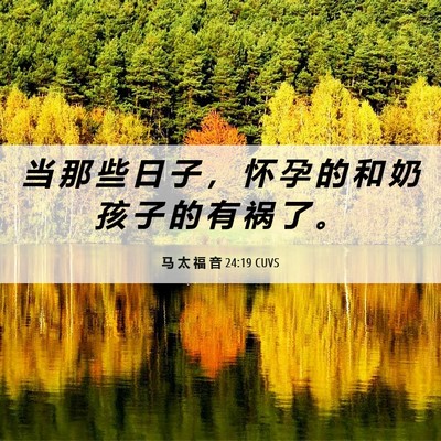Picture 06 - 马 太 福 音 24:19 CUVS - 当 那 些 日 子 ， 怀 孕 的 和 奶 孩 - Bible Verse Picture