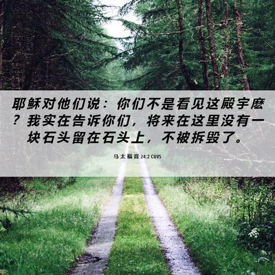 Picture 06 - 马 太 福 音 24:2 CUVS - 耶 稣 对 他 们 说 ： 你 们 不 是 看 - Bible Verse Picture