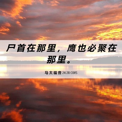 Picture 06 - 马 太 福 音 24:28 CUVS - 尸 首 在 那 里 ， 鹰 也 必 聚 在 那 - Bible Verse Picture