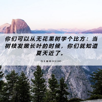 Picture 06 - 马 太 福 音 24:32 CUVS - 你 们 可 以 从 无 花 果 树 学 个 比 - Bible Verse Picture