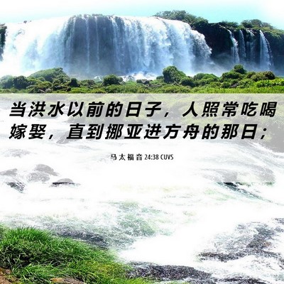 Picture 06 - 马 太 福 音 24:38 CUVS - 当 洪 水 以 前 的 日 子 ， 人 照 常 - Bible Verse Picture
