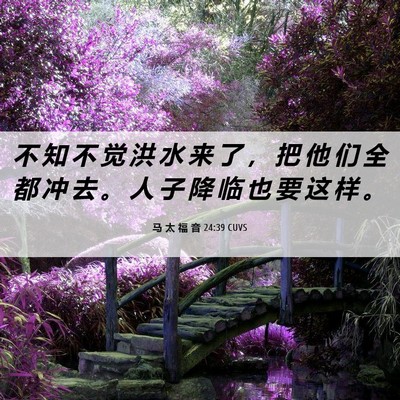 Picture 06 - 马 太 福 音 24:39 CUVS - 不 知 不 觉 洪 水 来 了 ， 把 他 们 - Bible Verse Picture