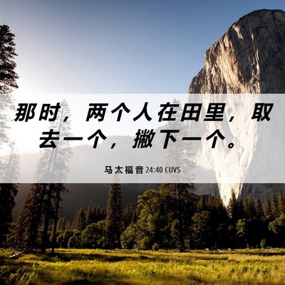 Picture 06 - 马 太 福 音 24:40 CUVS - 那 时 ， 两 个 人 在 田 里 ， 取 去 - Bible Verse Picture
