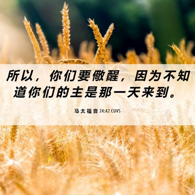 Picture 06 - 马 太 福 音 24:42 CUVS - 所 以 ， 你 们 要 儆 醒 ， 因 为 不 - Bible Verse Picture