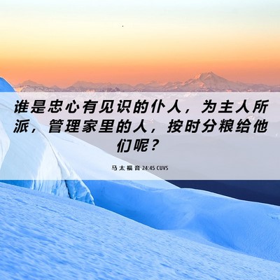 Picture 06 - 马 太 福 音 24:45 CUVS - 谁 是 忠 心 有 见 识 的 仆 人 ， 为 - Bible Verse Picture