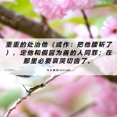 Picture 06 - 马 太 福 音 24:51 CUVS - 重 重 的 处 治 他 （ 或 作 ： 把 他 - Bible Verse Picture