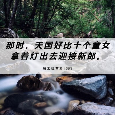 Picture 06 - 马 太 福 音 25:1 CUVS - 那 时 ， 天 国 好 比 十 个 童 女 拿 - Bible Verse Picture