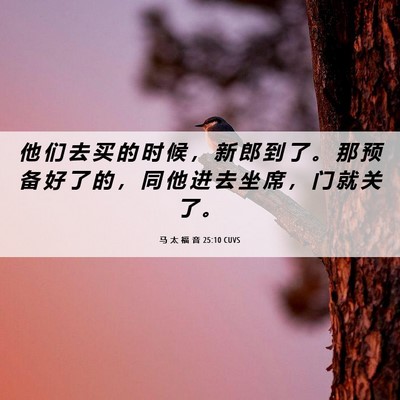 Picture 06 - 马 太 福 音 25:10 CUVS - 他 们 去 买 的 时 候 ， 新 郎 到 了 - Bible Verse Picture