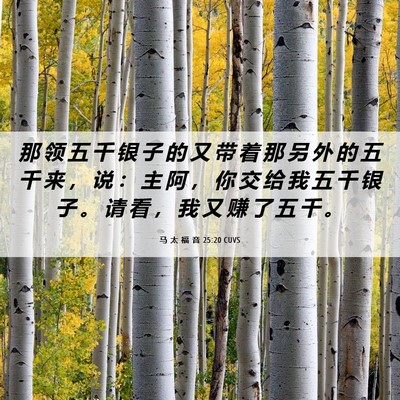 Picture 06 - 马 太 福 音 25:20 CUVS - 那 领 五 千 银 子 的 又 带 着 那 另 - Bible Verse Picture
