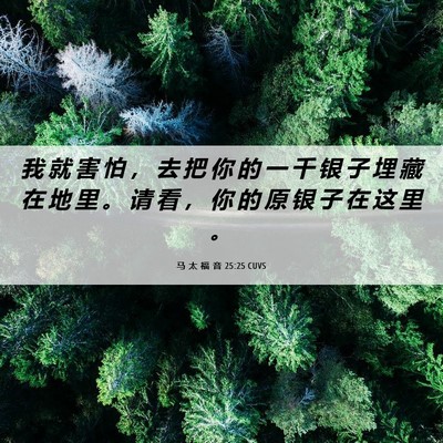 Picture 06 - 马 太 福 音 25:25 CUVS - 我 就 害 怕 ， 去 把 你 的 一 千 银 - Bible Verse Picture