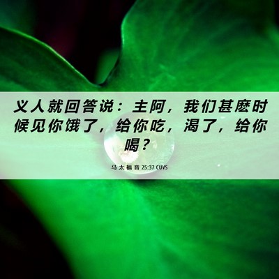 Picture 06 - 马 太 福 音 25:37 CUVS - 义 人 就 回 答 说 ： 主 阿 ， 我 们 - Bible Verse Picture