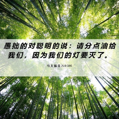 Picture 06 - 马 太 福 音 25:8 CUVS - 愚 拙 的 对 聪 明 的 说 ： 请 分 点 - Bible Verse Picture