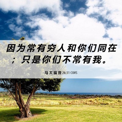 Picture 06 - 马 太 福 音 26:11 CUVS - 因 为 常 有 穷 人 和 你 们 同 在 ； - Bible Verse Picture