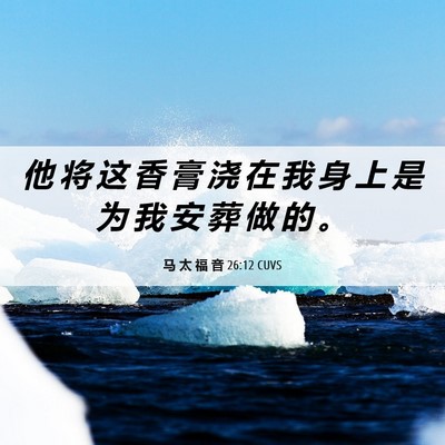 Picture 06 - 马 太 福 音 26:12 CUVS - 他 将 这 香 膏 浇 在 我 身 上 是 为 - Bible Verse Picture