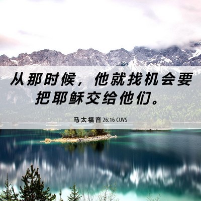 Picture 06 - 马 太 福 音 26:16 CUVS - 从 那 时 候 ， 他 就 找 机 会 要 把 - Bible Verse Picture
