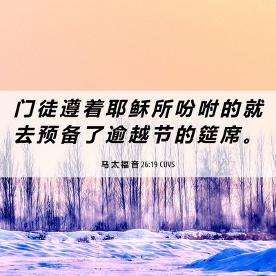 Picture 06 - 马 太 福 音 26:19 CUVS - 门 徒 遵 着 耶 稣 所 吩 咐 的 就 去 - Bible Verse Picture
