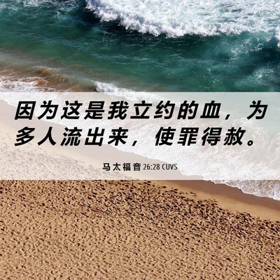 Picture 06 - 马 太 福 音 26:28 CUVS - 因 为 这 是 我 立 约 的 血 ， 为 多 - Bible Verse Picture