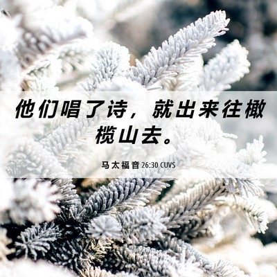 Picture 06 - 马 太 福 音 26:30 CUVS - 他 们 唱 了 诗 ， 就 出 来 往 橄 榄 - Bible Verse Picture