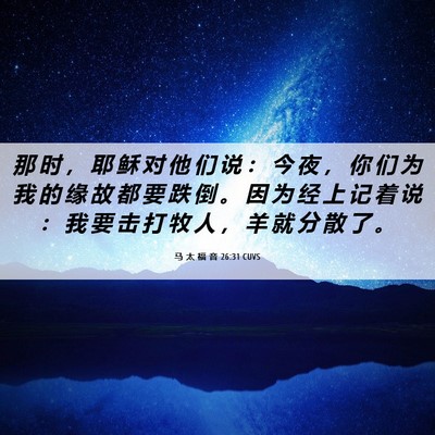 Picture 06 - 马 太 福 音 26:31 CUVS - 那 时 ， 耶 稣 对 他 们 说 ： 今 夜 - Bible Verse Picture