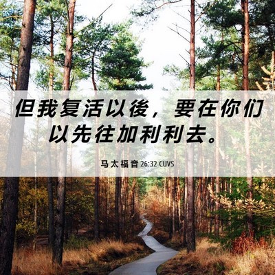 Picture 06 - 马 太 福 音 26:32 CUVS - 但 我 复 活 以 後 ， 要 在 你 们 以 - Bible Verse Picture