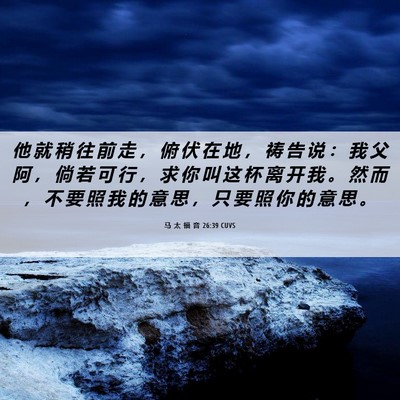 Picture 06 - 马 太 福 音 26:39 CUVS - 他 就 稍 往 前 走 ， 俯 伏 在 地 ， - Bible Verse Picture
