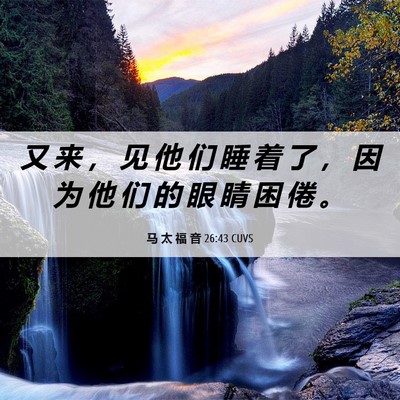 Picture 06 - 马 太 福 音 26:43 CUVS - 又 来 ， 见 他 们 睡 着 了 ， 因 为 - Bible Verse Picture