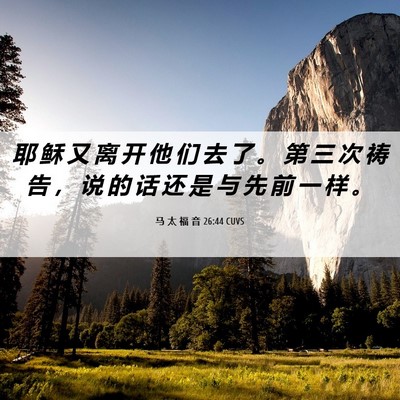 Picture 06 - 马 太 福 音 26:44 CUVS - 耶 稣 又 离 开 他 们 去 了 。 第 三 - Bible Verse Picture