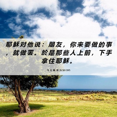 Picture 06 - 马 太 福 音 26:50 CUVS - 耶 稣 对 他 说 ： 朋 友 ， 你 来 要 - Bible Verse Picture