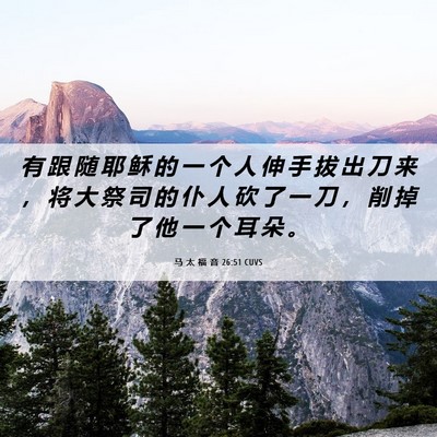 Picture 06 - 马 太 福 音 26:51 CUVS - 有 跟 随 耶 稣 的 一 个 人 伸 手 拔 - Bible Verse Picture
