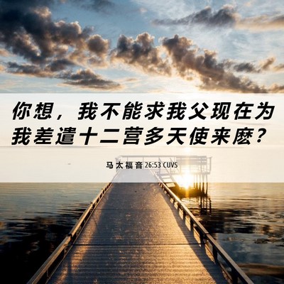 Picture 06 - 马 太 福 音 26:53 CUVS - 你 想 ， 我 不 能 求 我 父 现 在 为 - Bible Verse Picture