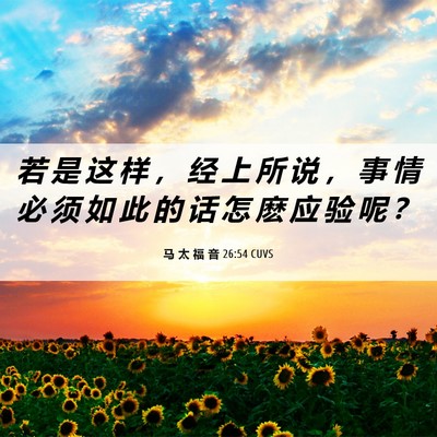 Picture 06 - 马 太 福 音 26:54 CUVS - 若 是 这 样 ， 经 上 所 说 ， 事 情 - Bible Verse Picture