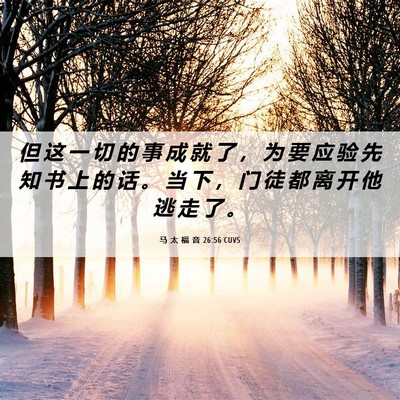 Picture 06 - 马 太 福 音 26:56 CUVS - 但 这 一 切 的 事 成 就 了 ， 为 要 - Bible Verse Picture
