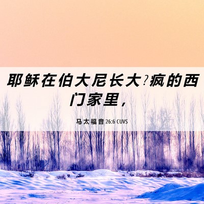 Picture 06 - 马 太 福 音 26:6 CUVS - 耶 稣 在 伯 大 尼 长 大 ? 疯 的 西 门 - Bible Verse Picture