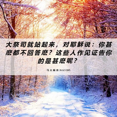 Picture 06 - 马 太 福 音 26:62 CUVS - 大 祭 司 就 站 起 来 ， 对 耶 稣 说 - Bible Verse Picture