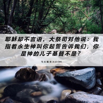 Picture 06 - 马 太 福 音 26:63 CUVS - 耶 稣 却 不 言 语 。 大 祭 司 对 他 - Bible Verse Picture