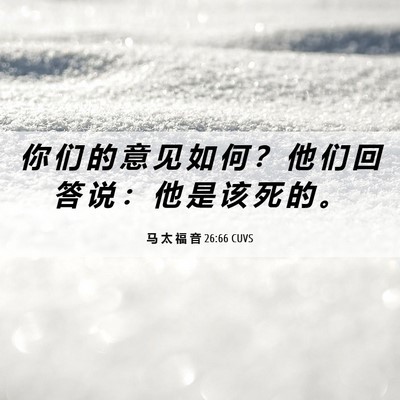 Picture 06 - 马 太 福 音 26:66 CUVS - 你 们 的 意 见 如 何 ？ 他 们 回 答 - Bible Verse Picture