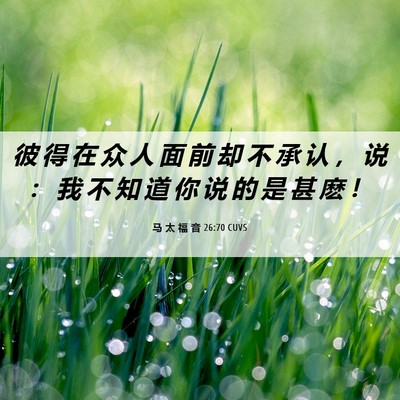 Picture 06 - 马 太 福 音 26:70 CUVS - 彼 得 在 众 人 面 前 却 不 承 认 ， - Bible Verse Picture