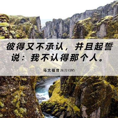 Picture 06 - 马 太 福 音 26:72 CUVS - 彼 得 又 不 承 认 ， 并 且 起 誓 说 - Bible Verse Picture