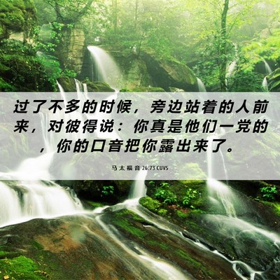 Picture 06 - 马 太 福 音 26:73 CUVS - 过 了 不 多 的 时 候 ， 旁 边 站 着 - Bible Verse Picture