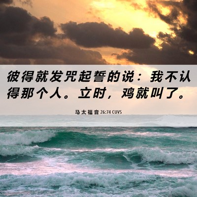 Picture 06 - 马 太 福 音 26:74 CUVS - 彼 得 就 发 咒 起 誓 的 说 ： 我 不 - Bible Verse Picture