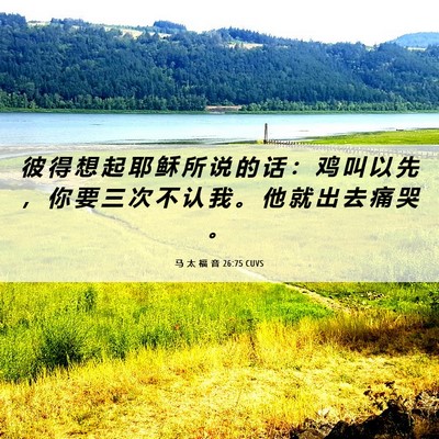 Picture 06 - 马 太 福 音 26:75 CUVS - 彼 得 想 起 耶 稣 所 说 的 话 ： 鸡 - Bible Verse Picture