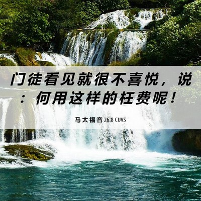 Picture 06 - 马 太 福 音 26:8 CUVS - 门 徒 看 见 就 很 不 喜 悦 ， 说 ： - Bible Verse Picture