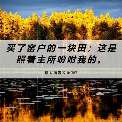 Picture 06 - 马 太 福 音 27:10 CUVS - 买 了 窑 户 的 一 块 田 ； 这 是 照 - Bible Verse Picture